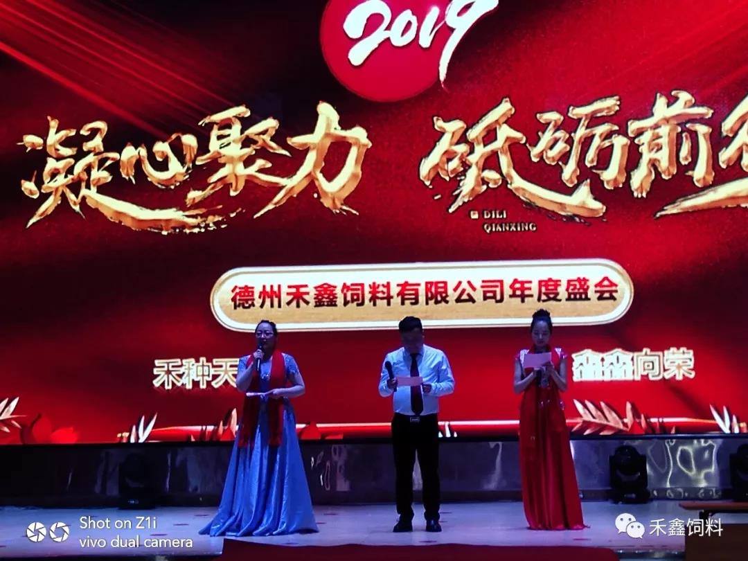 ľ ƵZǰ,ݺ2019ʢ(hu)AM(mn)e