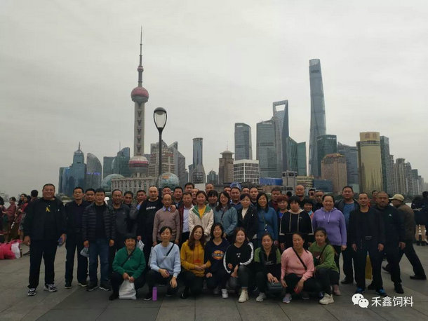 "Ή(mng)֮(du)g(l)A|"2019A|֮ÈAM(mn)Y(ji)